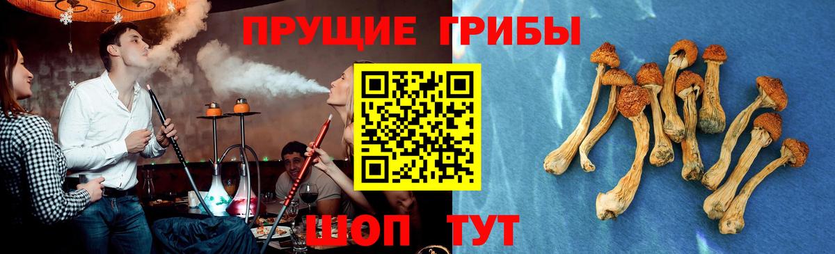 Галлюциногенные грибы Magic Shrooms  Псилоцибиновые грибы прущие грибы  Сургут  Вход с VPN 